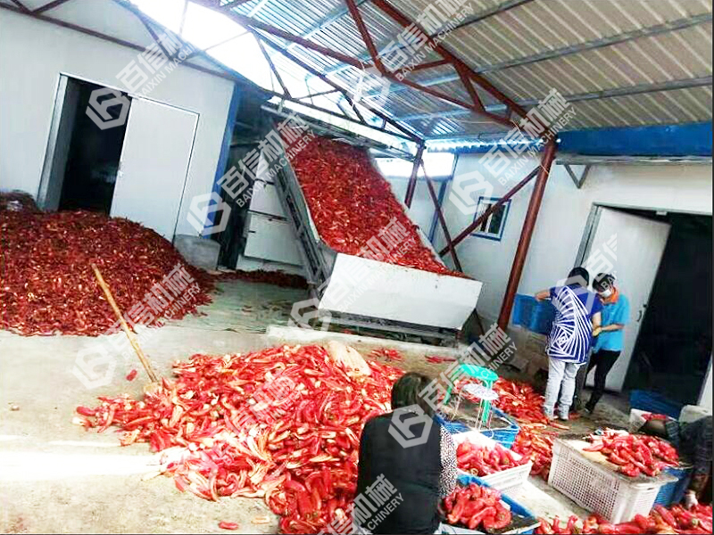 永春辣椒烘干機